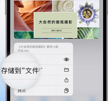 黄埔apple维修中心分享iPhone文件应用中存储和找到下载文件