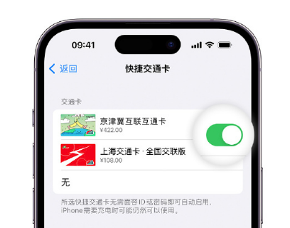 黄埔apple维修点分享iPhone上更换Apple Pay快捷交通卡手绘卡面 