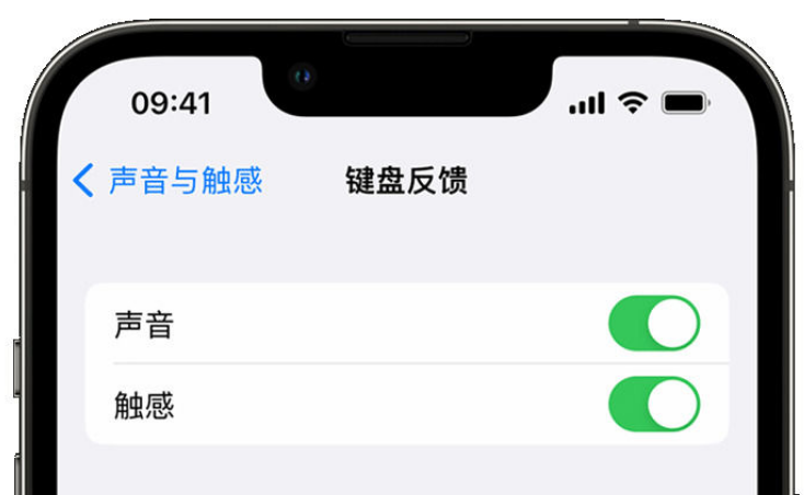 黄埔苹果手机维修分享iPhone 14触感键盘使用方法 