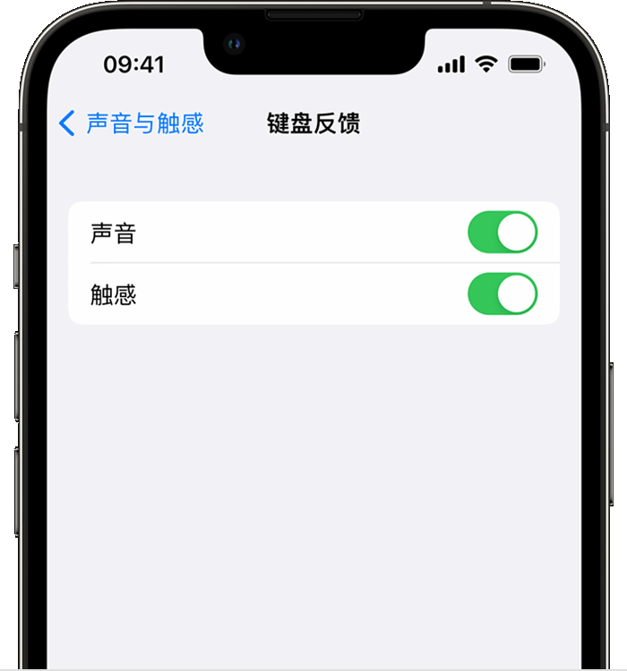 黄埔苹果14维修店分享如何在 iPhone 14 机型中使用触感键盘 