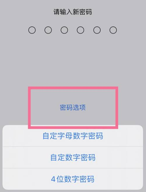 黄埔苹果14维修分享iPhone 14plus设置密码的方法 