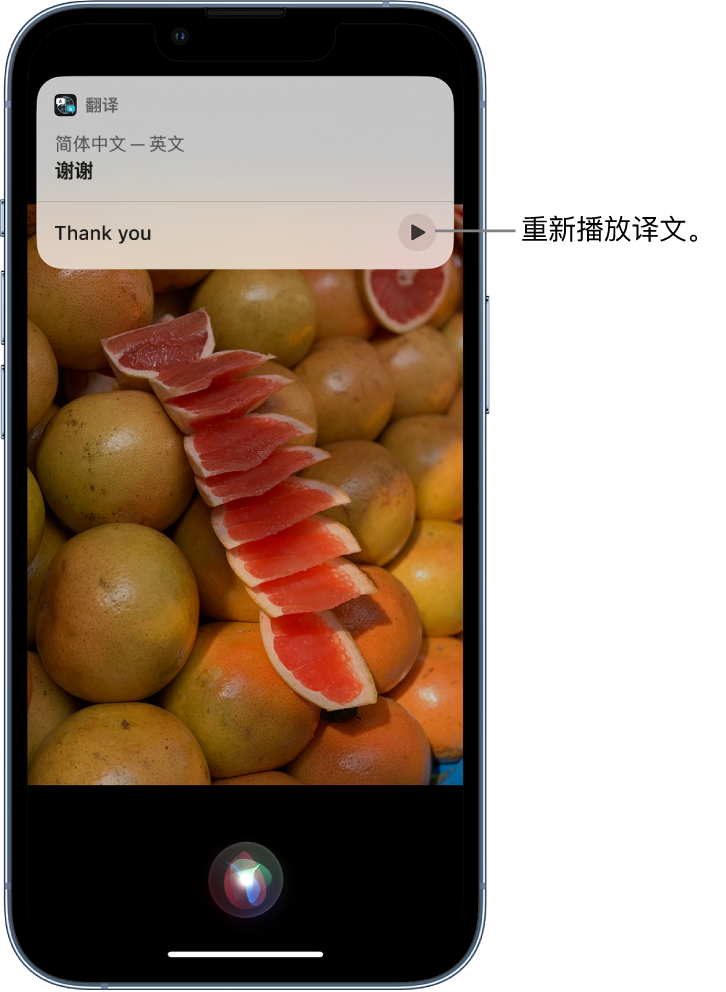 黄埔苹果14维修分享 iPhone 14 机型中使用 Siri：了解 Siri 能帮你做什么 