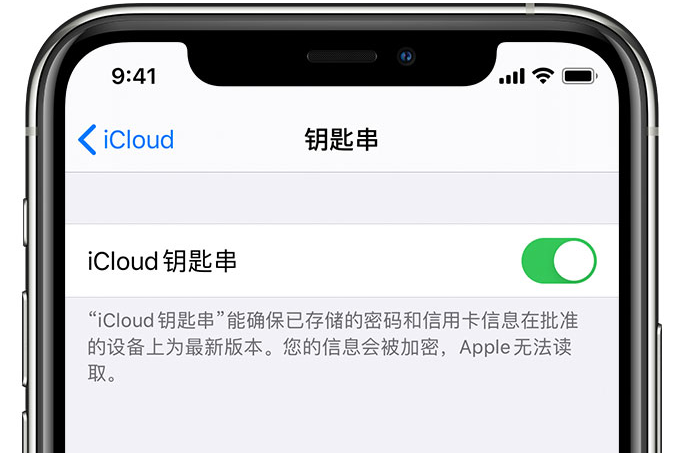 黄埔苹果手机维修分享在 iPhone 上开启 iCloud 钥匙串之后会储存哪些信息 