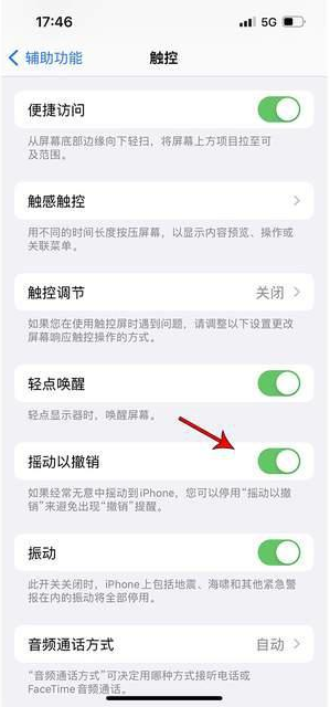 黄埔苹果手机维修分享iPhone手机如何设置摇一摇删除文字 