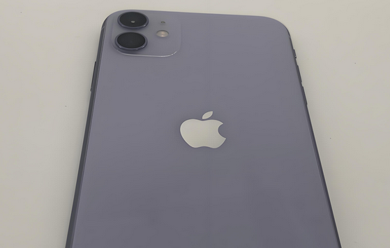 黄埔苹果11系统维修分享iPhone11手机系统崩溃无法开机如何解决
